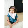 Copper Pearl 4 Pack Bandana Bibs Morgan Set
