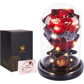 Valentines Day Gifts for Her,Valentines Day Decor Beauty and the Beast Rose in Glass Dome with 2 Lighting Mode,Forever Flowers Bouquets Valentines Day Gifts for Girlfriend Wife on Anniversary Birthday