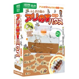 Gakken J750942 Science and Learning Presents You Can Watch The Making of Ants, Ants in Wonderland, Revised Version (For Ages 6 and Up)