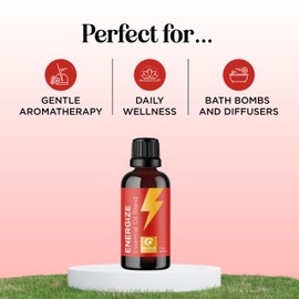 Maple Holistics Citrus Essential Oils Blend for Diffuser - Invigorating Citrus Oil Diffuser Essential Oils with Energizing Lemon Orange and Lime Essential Oil - Pure Aromatherapy Oils for Diffuser Citrus Blend Oil