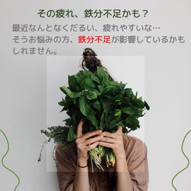 健康応援団 鉄 1ヵ月分 サプリメント 葉酸プラス 1袋 30粒 鉄分 Fe ビタミンB群 B2 B6 B12