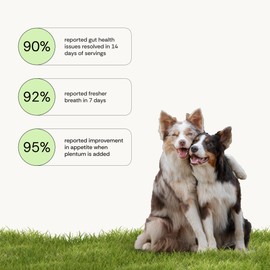 Plentum All-in-One Dog Supplement Powder Daily Gut, Joint Immune Allergy & Oral Support Pre+Postbiotic Formula with Human-Grade Ingredients 30 Single-Serve Sachets No Fillers, Clean & Simple Nutrition