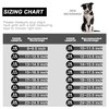 Dog Chain Collar Walking Collar with Design Secure Buckle 19MM