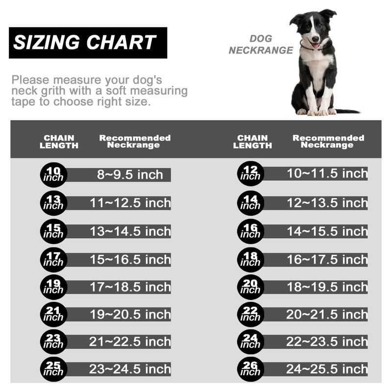 Dog Chain Collar Walking Collar with Design Secure Buckle 19MM