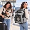 Expandable Pet Carrier Backpack for Cats & Small Dogs –