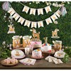 Little Deer First Birthday Paper Plates, 8 ct