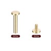 sourcing map 30Pack Brass Chicago Screws, 20x8mm Flat Head Screw