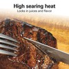 Hamilton Beach Electric Indoor Searing Grill with Adjustable Temperature Control