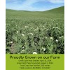 Palouse Brand Bulk Green Split Peas, 25 LBS
