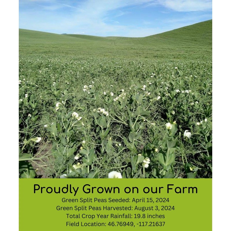 Palouse Brand Bulk Green Split Peas, 25 LBS