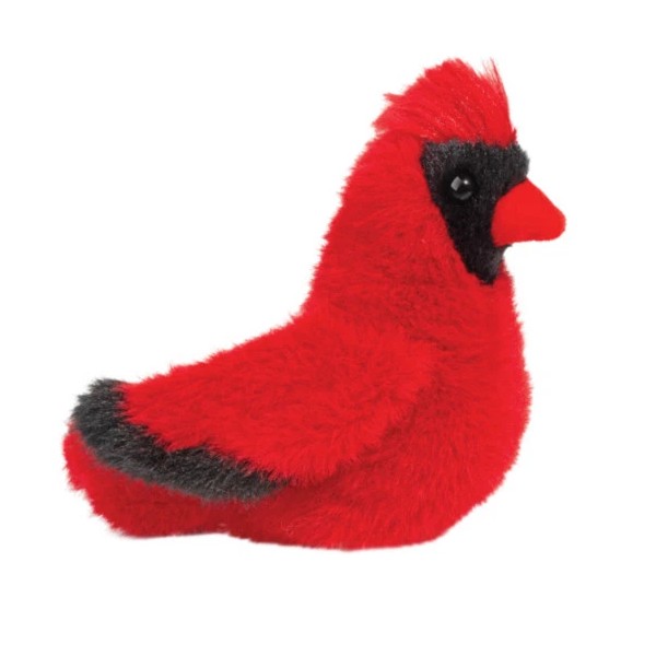Douglas Carmine Cardinal