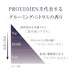 Proud Men All-in-One Men's Serum, Deep Effect Bubble Serum, 2.1
