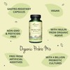 Probiotics & Prebiotics Vegavero® | 100% Organic | 10 Strains