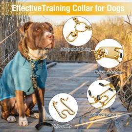 Dog Pinch Collar Stainless Steel,Gold Prong Dog Training Collar,No Pull Martingale Collar Stainless Steel Metal Chain Collar,Adjustable Size Collar for Medium and Large Dogs(S, Gold)