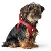 HUNTER Love Dog Harness, Colour: Brown, Soft Cowhide Leather, Breathable