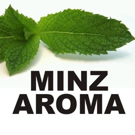 TOP TEN® ZAHNSCHUTZ "MINT" Farbe TRANSPARENT für SR JR, mit Hygiene BOX Dose, CE, Sport Mundschutz, Zahnschützer, Mundschützer, Erwachsene Senioren Jugendliche Junioren ab ca. 13 Jahre, Boxen Kampfsport Hockey Handball selbstformbar TOPTEN mit Geschmack 