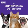 PRN Pharmacal CoproBan Anti-Coprophagia Soft Chews, Roast Beef Flavor -
