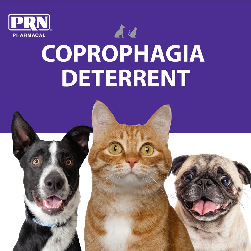 PRN Pharmacal CoproBan Anti-Coprophagia Soft Chews, Roast Beef Flavor -