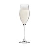 C & S CHEF & SOMMELIER Bellevue 8 Ounce Champagne