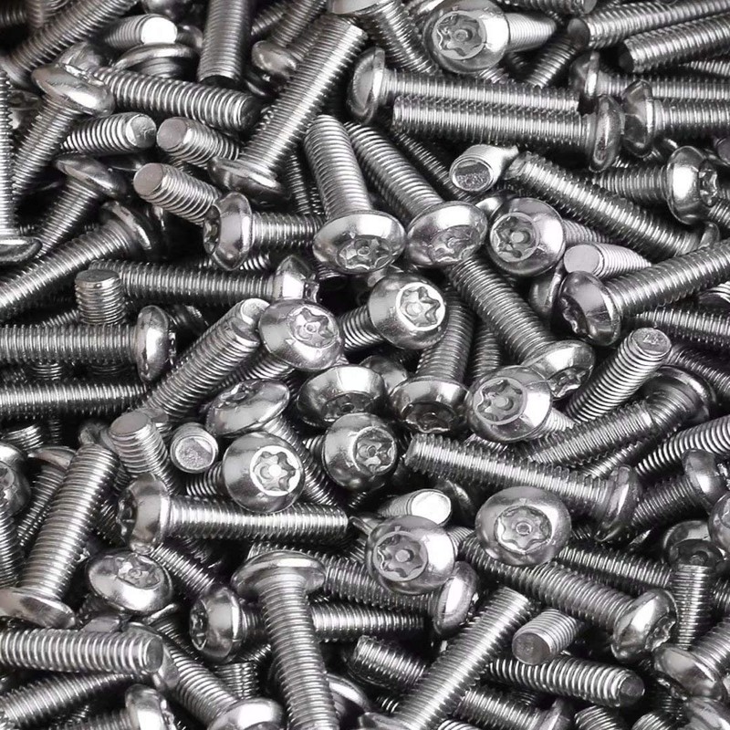 Dreneco Anti-Theft Screws 304 Stainless Steel Screws Torx Round Head