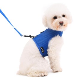 Small Dog Harness and Leash Set Small Pet Harness for Summer, Adjustable Soft Padded Dog Vest for Poodle, Pomeranian, Chihuahua, Minlature Pinscher Under 13LBS, Solid Blue Mesh Fabric