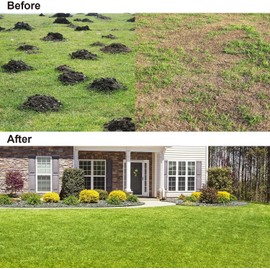 Lawn Leveling Rake,Stainless Steel Lawn Leveler with 30”x10” Ground Plate, 78” Adjustable Long Handle, Level Yard Tool for Grass, Golf Field, Level Soil or Dirt Ground Surfaces-Green