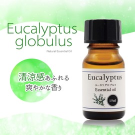 100% Natural Eucalyptus Globlus Oil, 0.3 fl oz (10 ml), Aroma Oil, Eucalyptus
