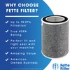Fette Filter - Replacement Filter, Compatible with Shark Air Purifier