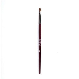 Terry Jacobs Professional Setting Beauty Make Up Brushes (Lip Brush)