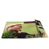 HERMA 19341 Portfolio Folder A4 Animal Worlds Forest Animals, Children's