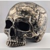 Veronese Design Bronze Finish Craniumography Old Treasure Map On Skull