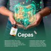 Pack 2 Frascos Probióticos y Prebióticos Simbióticos BIOFLORA