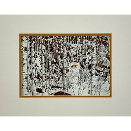 Generic Bev Doolittle Woodland Encounter 11 x 14 Matted Print Fits a standard 11 x 14 Frame, various