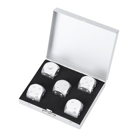 Dice Box Set 5 Pieces Aluminium Alloy Table Game Poker Games Dice Set Men Gift (Square Silver) Accessories for Deformation Models