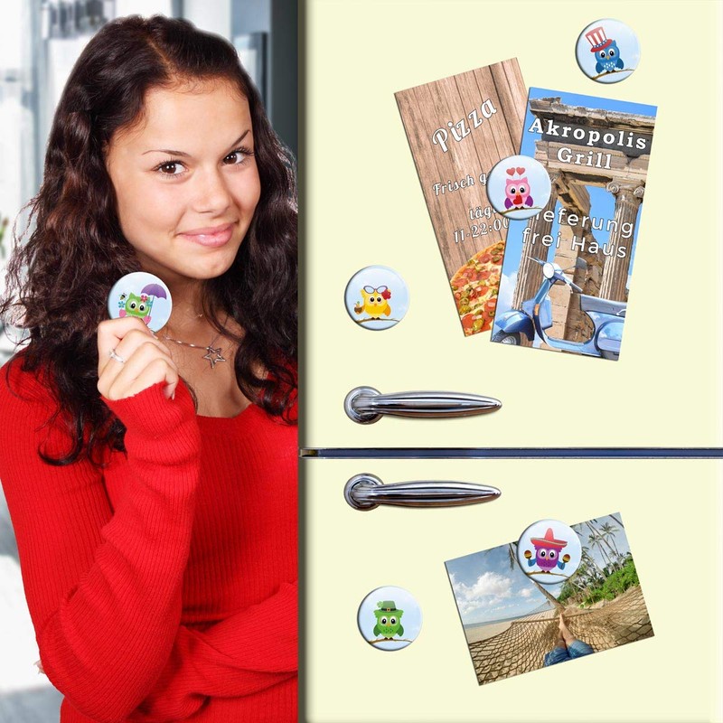Magnets Owl Decorative Gift Set Fridge Magnets Owl Motif Animals
