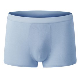 Men's 5pcs Disposable Rayon Boxer Briefs Individually Packed Shorts Quick-Drying Panties Portable Undershorts Comfortable Underwear (5pk,Blue Gray,L)