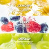 Wellnist Pro EAA+ Wellnist Pro EAA Plus, Muscat, 7.1 oz