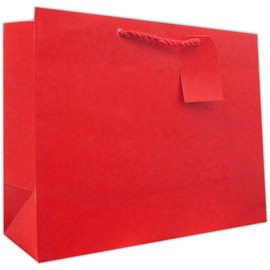 JILLSON & ROBERTS All-Occasion Large Gift Bags and Tissue in Assorted Solid Colors, 6-Count, Brights (STLT001)