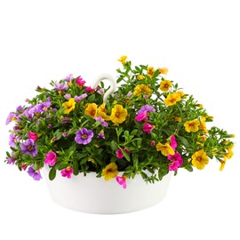 Tree Nest Hanging Planter 12 Inch Outdoor Hanging Flower Pot Holder for Plants Indoor Plant Basket Recyclable Plastic Hanger with Hook and Drain Hole Round White(NO Flower)