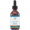 Native Remedies Gout-Gone - Natural Homeopathic Formula for The Joint