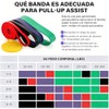 Bandas de Resistencia 5PCS(TPE), Ligas de Resistencia para Ejercicio, Fuerte