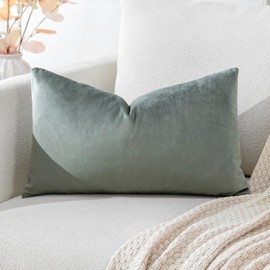 Artscope Luxury Velvet Cushion Covers Super Soft Decorative Throw Pillow Covers Case Lumbar Cushion Cases for Sofa Couch Bedroom Car Decor 30x50cm Dark Gray