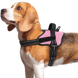 rabbitgoo Dog Harness Medium Sized, No Pull No Choke Pet Vest, Easy Wearing with One Buckle, Reflective, Adjustable Pet Harness with Molle for Walking, Training, Pink, M