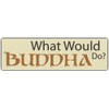 Bumper Sticker: What Would Buddha Do? | Peace Coexist
