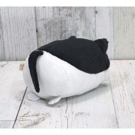 Plush You Dared to the Cat