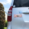 Dog Dog Nursery Cartoon Baby NOW ON REC Car Magnet