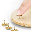 300 Metal Drawing Push Pins, Push Pins Gold with Storage