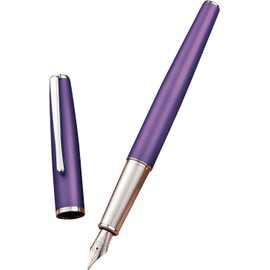 Hong Dian Pluma estilográfica blanca 920, chapado en oro rosa, punta media, suave, bolígrafo clásico con convertidor de tinta