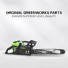 GreenWorks 2904202, Black 18 inches