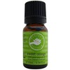 Perfect Potion Sweet Orange Pure Essential Oil 10 ml